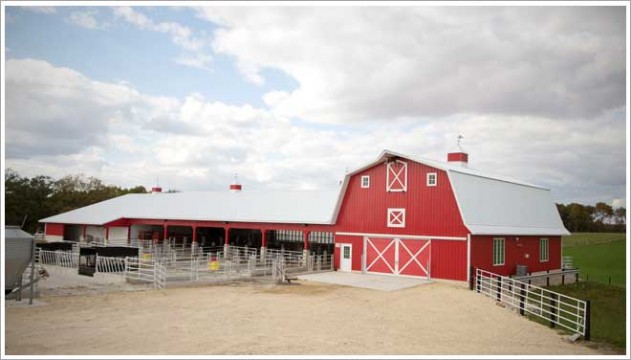 NFBA_Livestock_Barn       