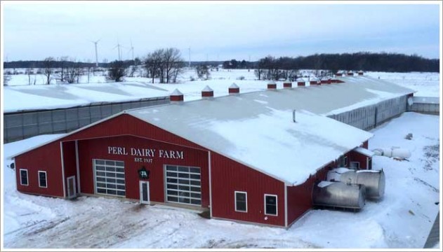 Peal_Dairy_Farm      